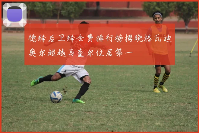 德转后卫转会费排行榜揭晓格瓦迪奥尔超越马奎尔位居第一
