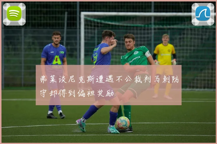 弗莱谈尼克斯遭遇不公裁判马刺防守却得到偏袒奖励